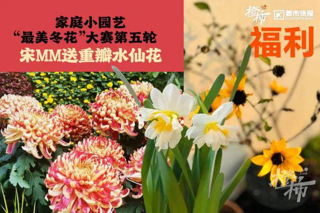 霸王茶姬动物手机支架……橙柿超多福利送送送爱游戏网站入口时髦人都有的巴拉克拉法帽、(图4)